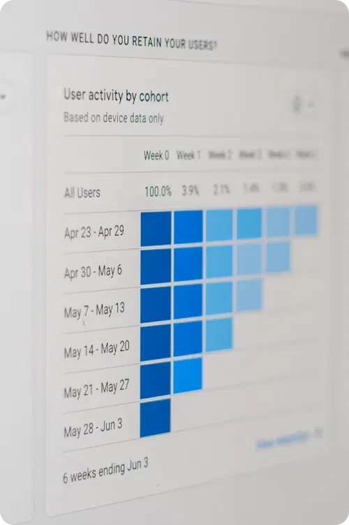 Digital Hub & Profile Optimization